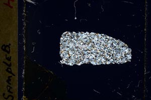 Cross Polarized, S36288