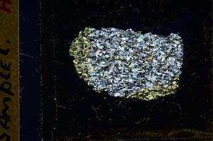 Cross Polarized, S36289