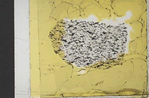 Plane Polarized, S36289