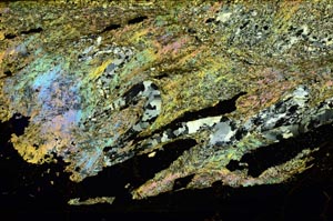 Cross Polarized, S36304