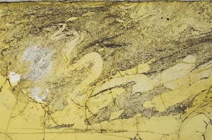 Plane Polarized, S36304