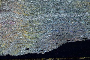 Cross Polarized, S36305