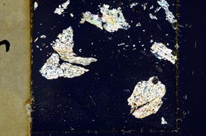 Cross Polarized, S36306