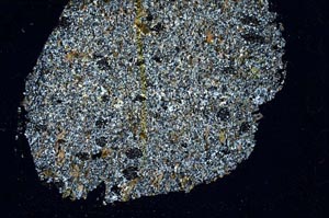 Cross Polarized, S36307