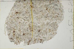 Plane Polarized, S36307