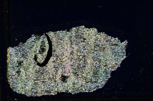 Cross Polarized, S36309