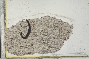 Plane Polarized, S36309