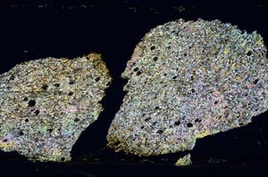 Cross Polarized, S36310