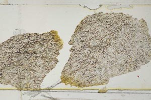 Plane Polarized, S36310