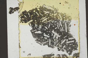 Plane Polarized, S36333