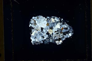 Cross Polarized, S36357