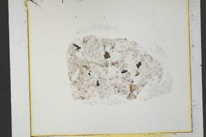 Plane Polarized, S36357