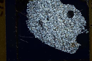 Cross Polarized, S36361