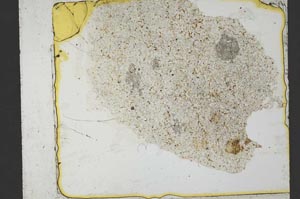 Plane Polarized, S36361