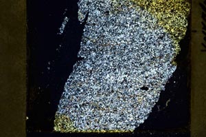 Cross Polarized, S36362