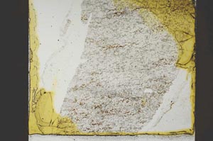 Plane Polarized, S36362