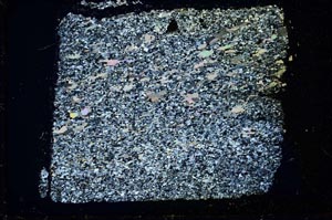 Cross Polarized, S36363