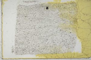 Plane Polarized, S36363