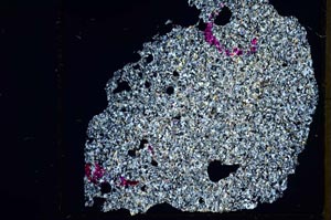 Cross Polarized, S36364