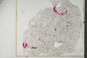 Plane Polarized, S36364