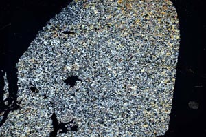 Cross Polarized, S36364/A