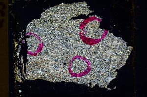 Cross Polarized, S36365