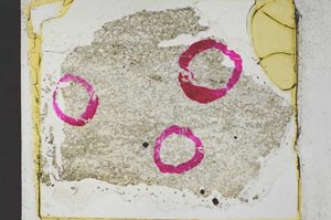 Plane Polarized, S36365