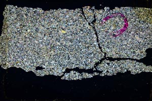 Cross Polarized, S36365/A