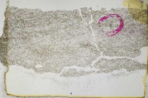 Plane Polarized, S36365/A