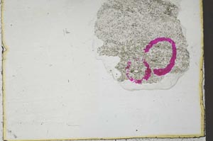 Plane Polarized, S36366