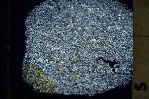 Cross Polarized, S36367