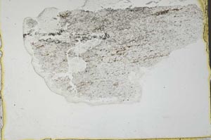 Plane Polarized, S36374