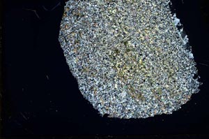 Cross Polarized, S36383