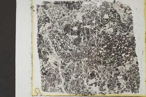 Plane Polarized, S36434