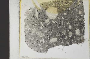 Plane Polarized, S36440