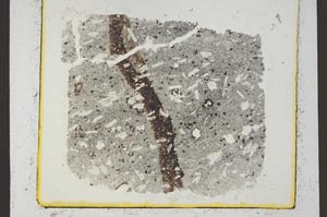 Plane Polarized, S36441