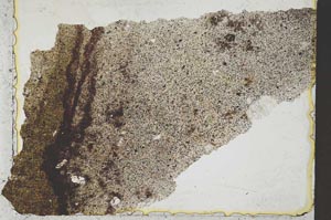 Plane Polarized, S36476