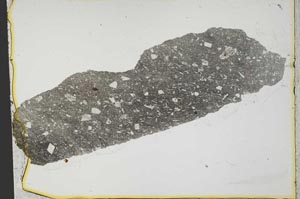 Plane Polarized, S36487