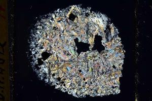 Cross Polarized, S36544