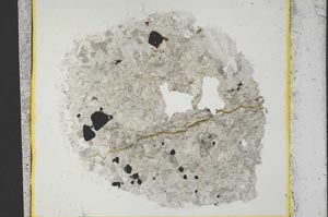 Plane Polarized, S36544