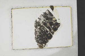 Plane Polarized, S36548