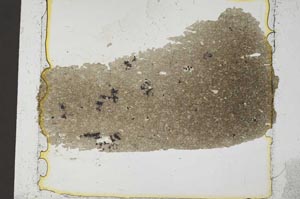 Plane Polarized, S36606