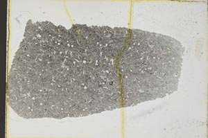 Plane Polarized, S36693