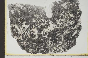 Plane Polarized, S36702