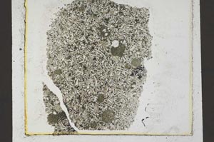 Plane Polarized, S36729