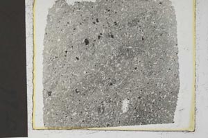 Plane Polarized, S36731