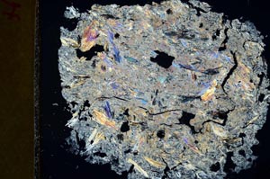 Cross Polarized, S36764