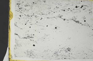 Plane Polarized, S36768