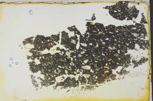 Plane Polarized, S36773