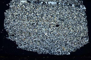 Cross Polarized, S36781